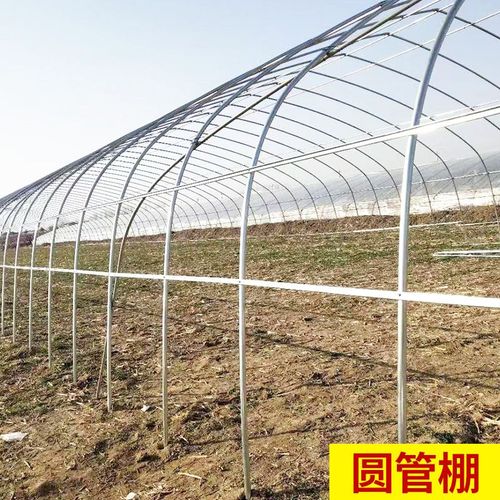 溫室鋼架大棚骨架蔬菜種植連棟棚牛羊保溫棚養(yǎng)殖大